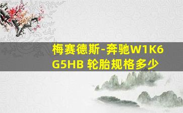 梅赛德斯-奔驰W1K6G5HB 轮胎规格多少